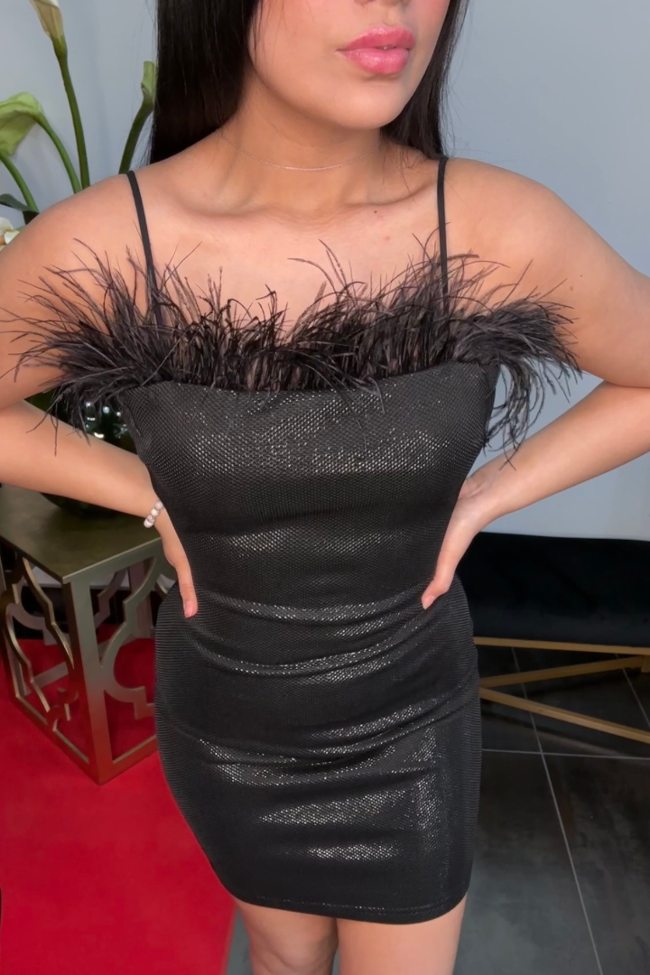 Hanna Feather Dress