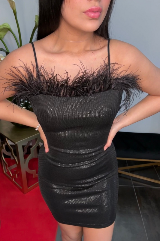 Hanna Feather Dress